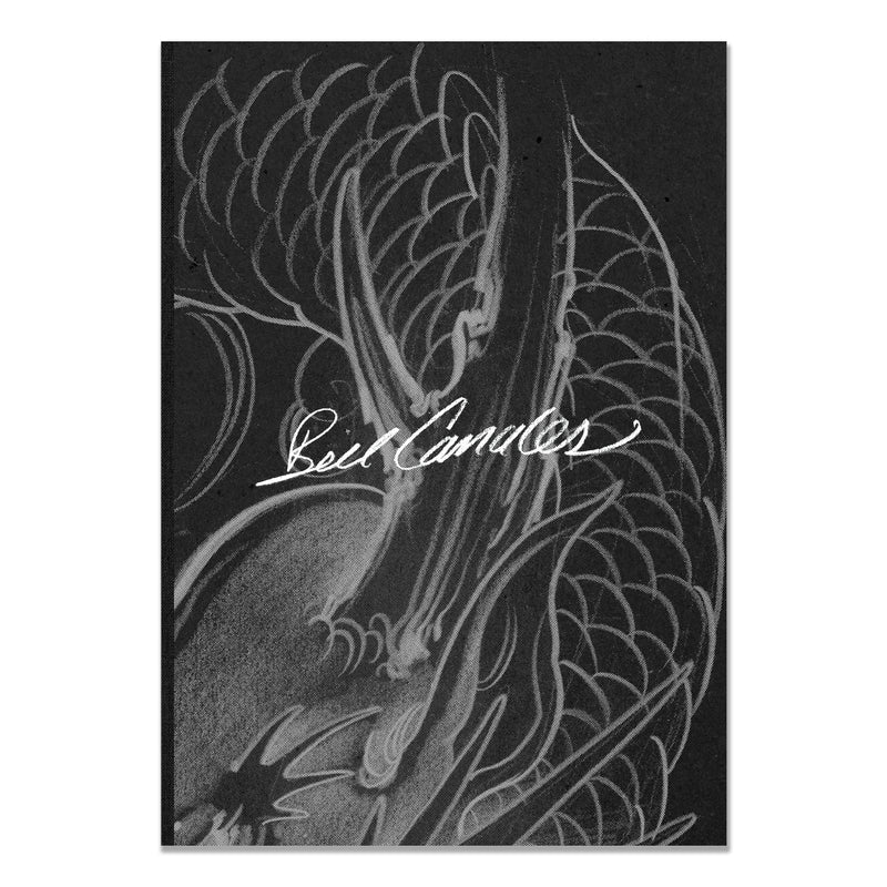 Bill Canales Daily Dragons Summer