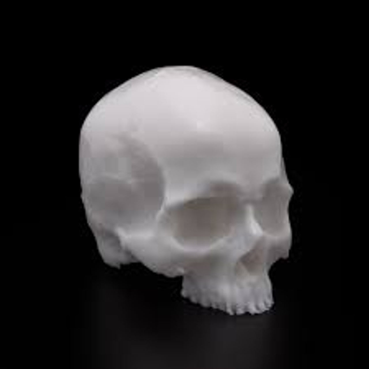 Pound of Flesh Yorick Skull
