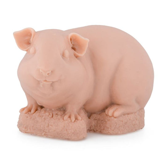 Pound of Flesh Guniea Pig